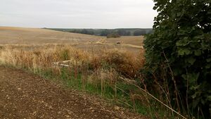Fuente de Las Caleras - Bramadero.jpg
