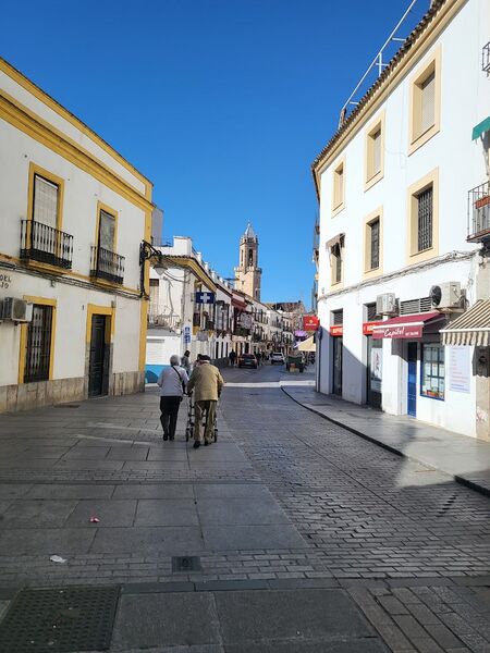 Archivo:Calle del Realejo.jpg