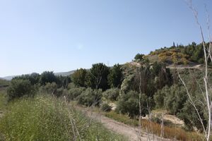 6 arroyo carchena a 2km de nueva carteya.JPG