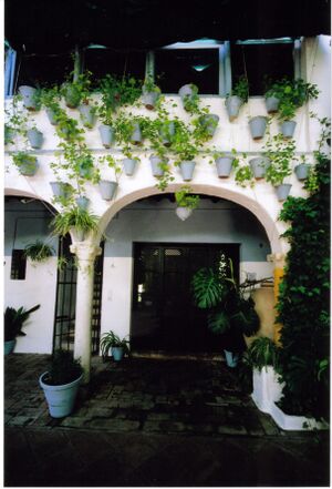 Campos 007.jpg