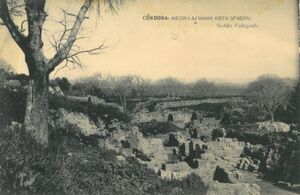 Vista general de Medina Azahara.jpg