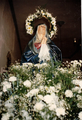 Dolorosa de Ochavillo del Río.