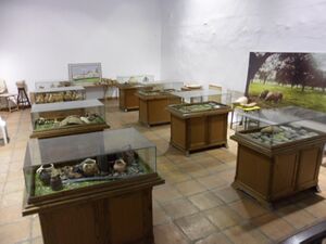 01 Museo Villanueva Cordoba Actual.jpg