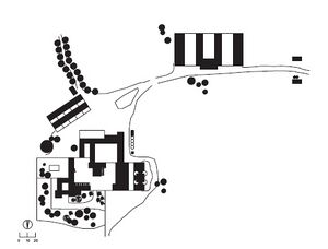 Algamarrilla6.jpg