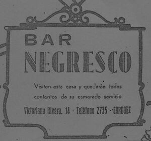 Bar Negresco.jpg