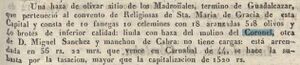 BOP 15-05-1845 Coronel.JPG