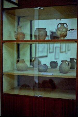 03 Museo 1980.jpg
