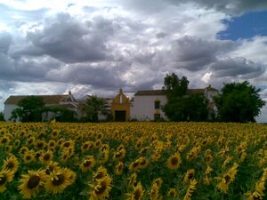 23052009(001).jpg