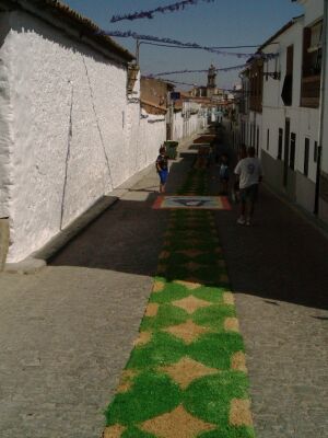 Alfombras S. Roque.JPG