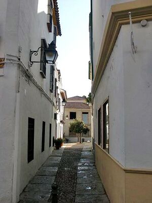 CallePozodelCueto01.jpg