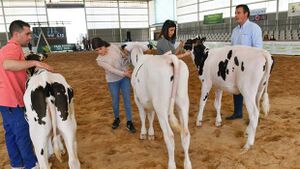 Feria-agroganadera-pozoblanco-kp5C--620x349@abc.jpg