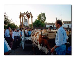 Fiestaspatronalespalmadelrio.jpg