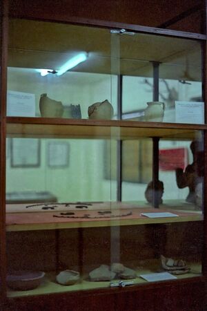 09 Museo 1980.jpg