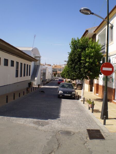 Archivo:CarlosIIIArriba2.jpg