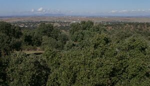 Dehesa1.JPG