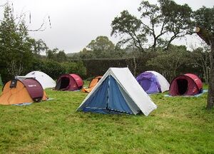 Ciguena19.jpg