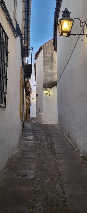 Calle Alta de Santa Ana 3 (Cordobapedia).jpg