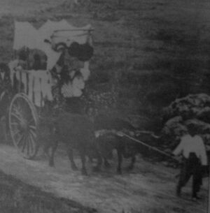 Carreta 99.jpg