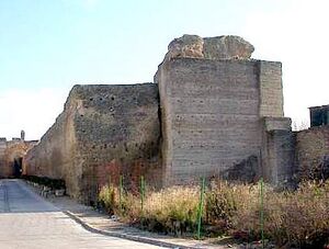 Castillo Palma del Río.jpg