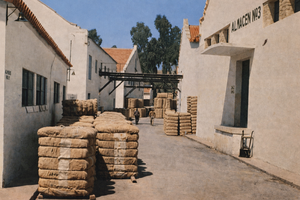 Calle en la factoría Algodonera de Miraflores (1953).png
