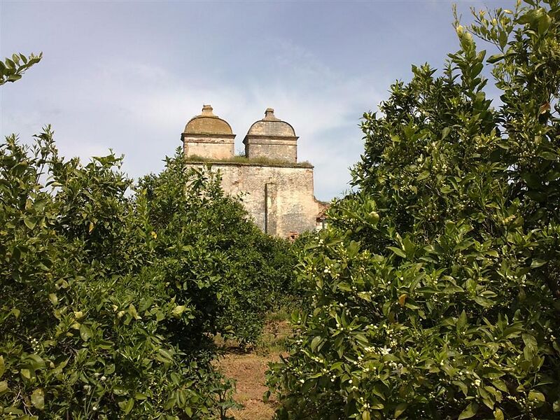 Archivo:Molino de San Roque.jpg