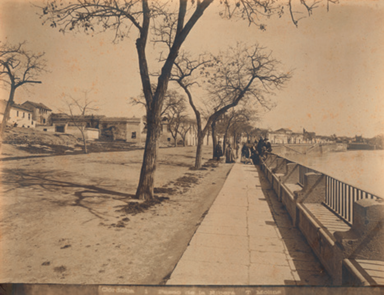 Archivo:TOMÁS MOLINA. Paseo de la Ribera. Hacia 1892. Copia a la albúmina..png