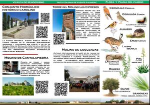 Díptico 2022 ruta senderismo FP.JPG