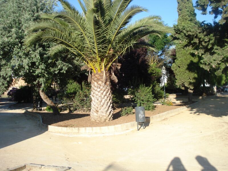 Archivo:Imagen 075.jpg