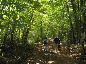 Castano(2).jpg