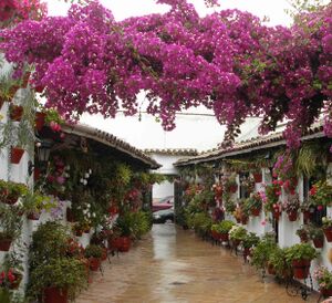 Escañuela a 2010.jpg