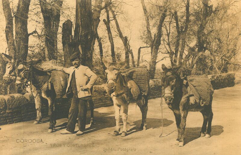 Archivo:Tipos y costumbres (2).jpg