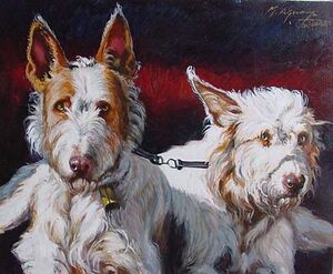 Collera echada 60x73.jpg