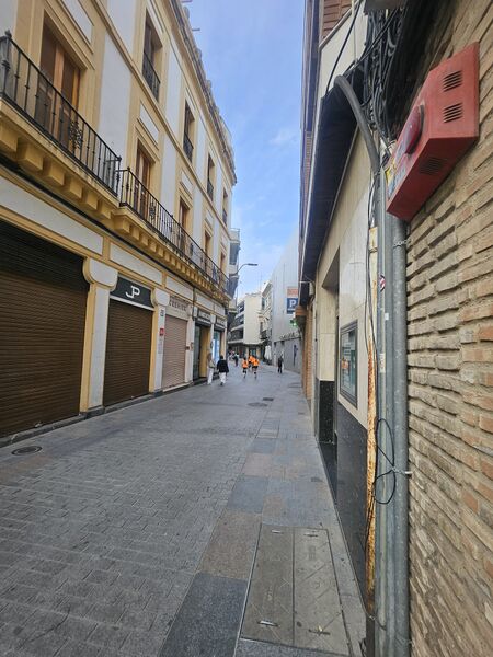 Archivo:20260423 200840.jpg