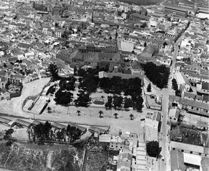 Montilla aerea.jpg