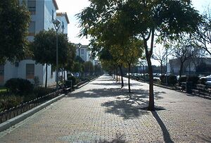 Zona peatonal Arquitecto Sáez de Santamaría.jpg