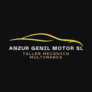 Logo - Anzur Genil Motor SL.jpg