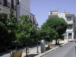 Fotos de Rute 020.jpg