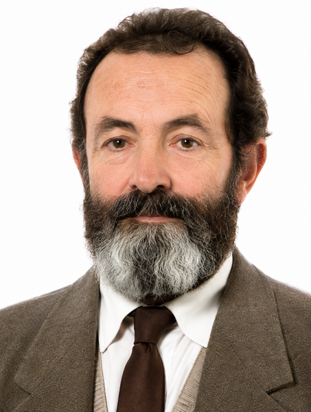 Archivo:Antonio Sánchez Lucas.png