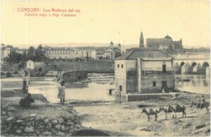 Los molinos del río.jpg