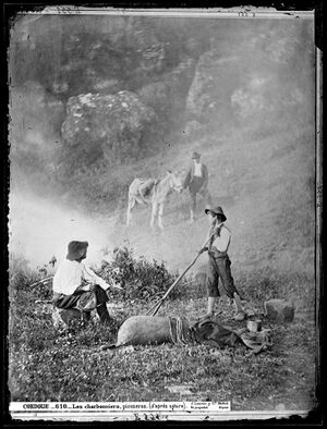Los piconeros en Córdoba (1860s).jpg