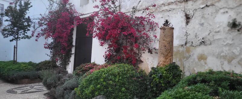 Archivo:Cuesta de Pero Mato. Casa nº 2.jpeg