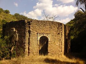 DSC03770 (Large).JPG
