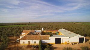 Molino los Hermanucos.jpg