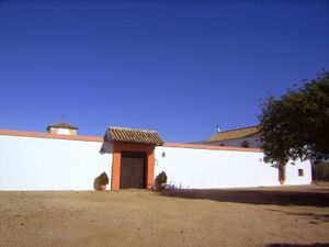 PICT4291.JPG