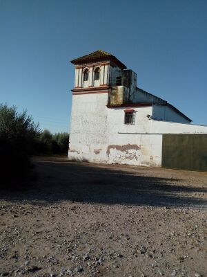 Cortijo de Madroñeros-noviembre2020-3.jpg