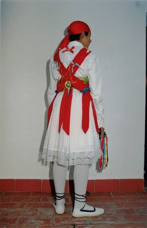 Locos de FC sXX5.jpg