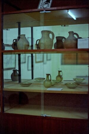 04 Museo 1980.jpg