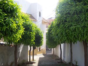 CBarranco2 ar.jpg
