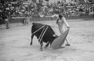 Luis Miguel Dominguín (Fotografía Baldomero y Aguayo 1939).png