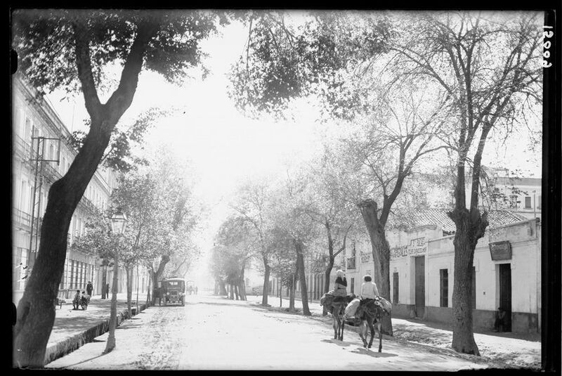 Archivo:Rona de los Tejares (años 1950).jpg